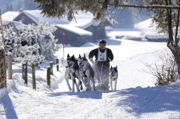 Lenk 2013